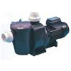 Waterco Hydrotuf 100 Pump